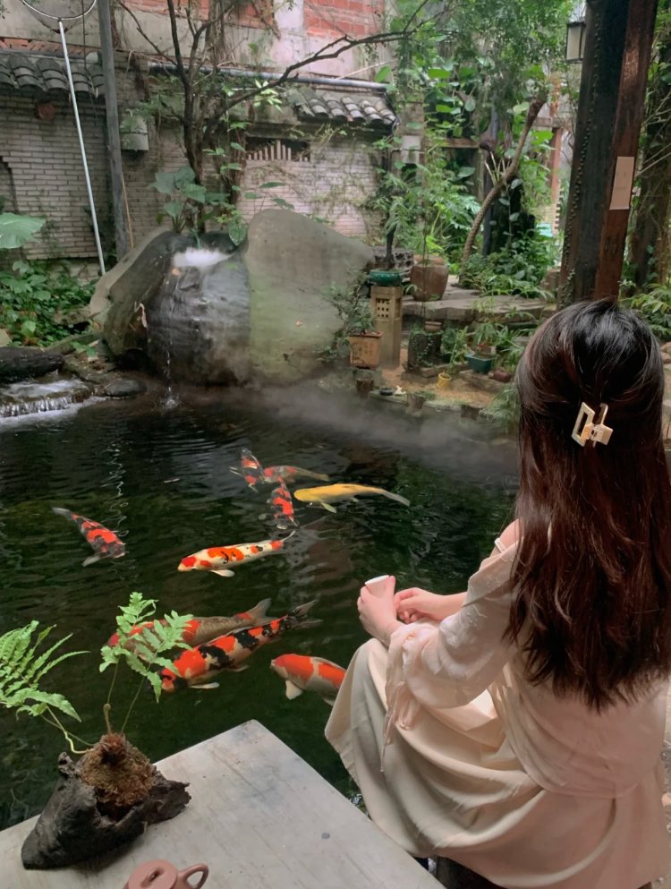 AndrewKeasling's tweet photo. Water, fish and books are a good place to relax☺️ https://t.co/KkdTUDrHXT