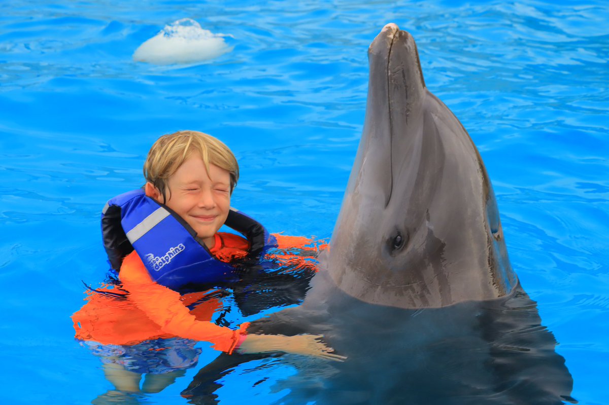 ZellnerMeagan's tweet image. Well, an absolutely fun day @cabo_adventures #caboadventures it was truly incredible as amazing! Thank you Raul! Little Raider said it was the best day ever! ♥️thank you!