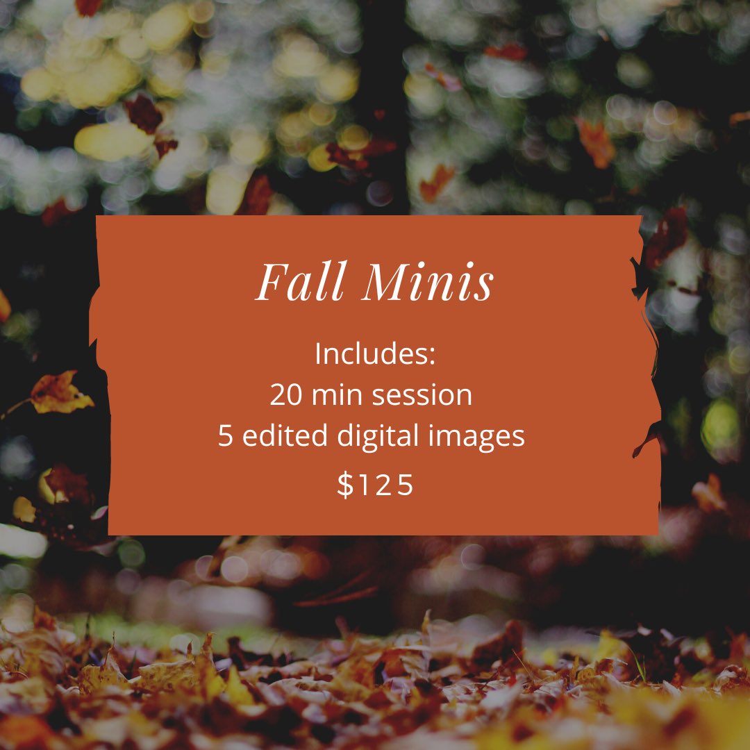PhotoEnchanting's tweet photo. Now booking fall minis! I do want to give one free fall mini away! Here’s how this is going to work. Book a fall mini and out of the first 3 who book I will randomly draw a name to see who gets the mini for free. Must pay a non-refundable deposit that can go towards a session. https://t.co/dS0HbqDHdu