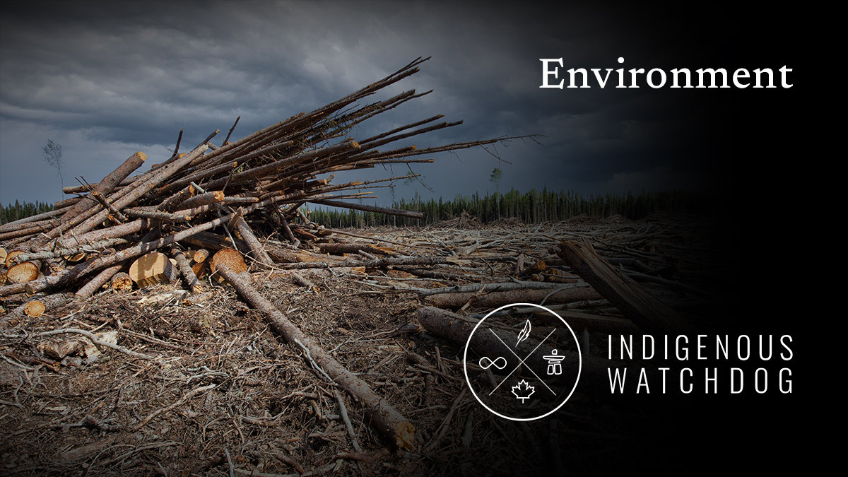 IndigenousWD's tweet image. Indigenous reconciliation = environmental survival ♻️

Governments and large corporations continue to pillage Indigenous land without their consent, devastating their ecosystems. Stand with Indigenous opposition to take action for the climate: bit.ly/39qTUXk