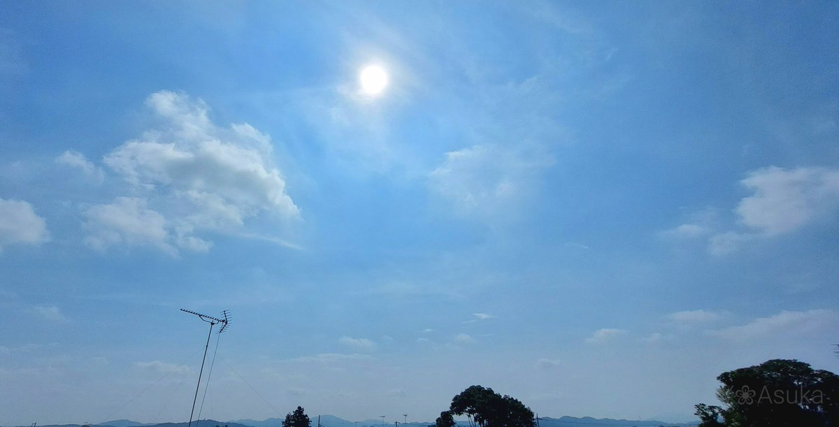 yumeasutw's tweet photo. #青空 にお日様燦々蒸し暑い火曜日の朝☀️
ひっくり返っていた #アブラゼミ
棒に捕まらせたら元気に飛び立ちました⤴️

予想最高/最低気温🌡️36℃/25℃
晴れ☀️
猛烈な暑さ💦午後は南風が吹き俄か雨に御用心⛈️

#空の名前
#天気の図鑑 #雲友
#積雲 #巻雲
#昆虫
#large_brown_cicada
#a2022 #a0809 #a202208 https://t.co/yGIgTlgpFn