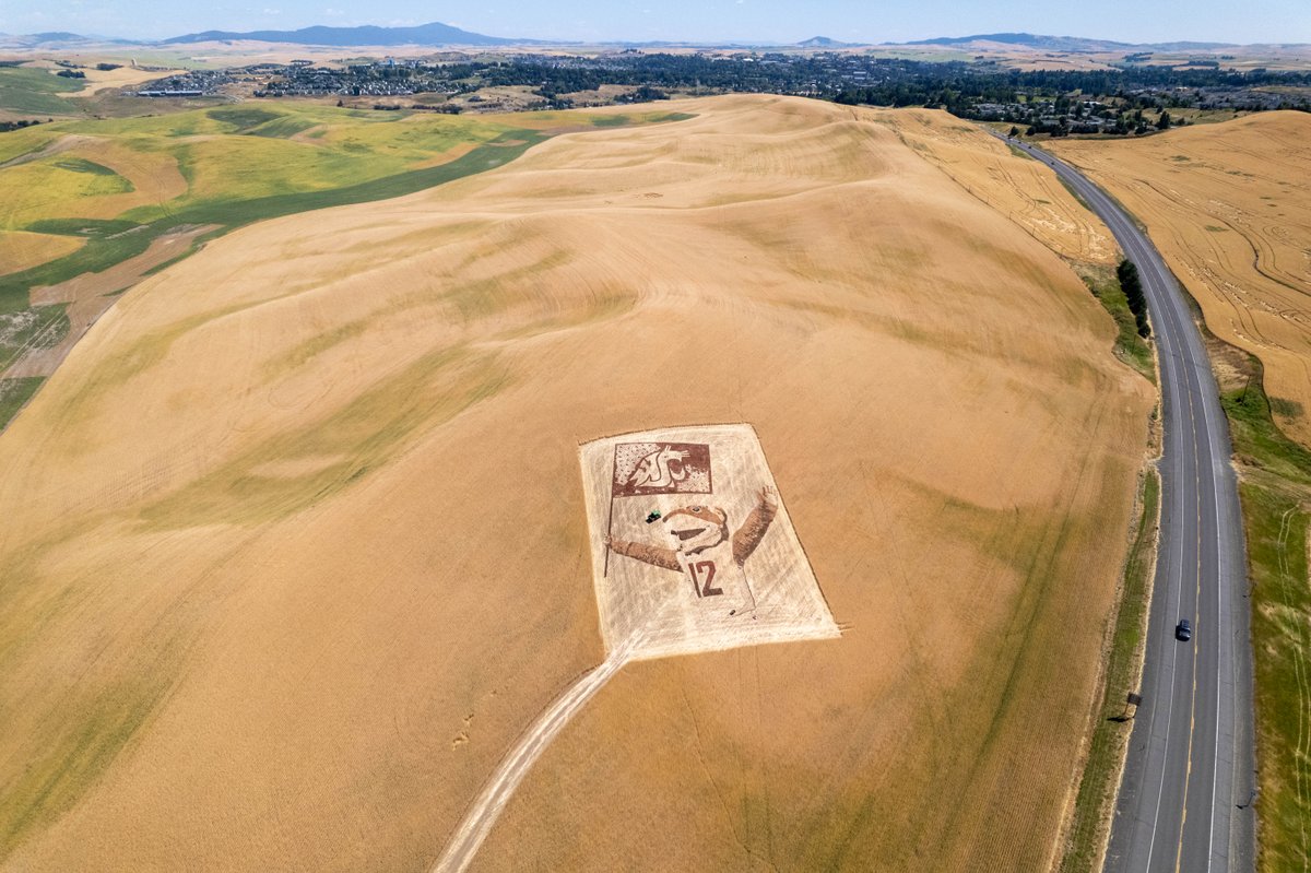 BECU (@becu) on Twitter photo The flag Cougar nation knows and loves is about to make its presence known on the Palouse in a very big way.. #GoCougs
<a href="/WSUAlumAssoc/">WSU Alumni Association</a>
<a href="/ButchTCougar/">Butch T. Cougar</a>
<a href="/CougsFirst/">CougsFirst!</a> The flag Cougar nation knows and loves is about to make its presence known on the Palouse in a very big way.. #GoCougs
<a href="/WSUAlumAssoc/">WSU Alumni Association</a>
<a href="/ButchTCougar/">Butch T. Cougar</a>
<a href="/CougsFirst/">CougsFirst!</a>