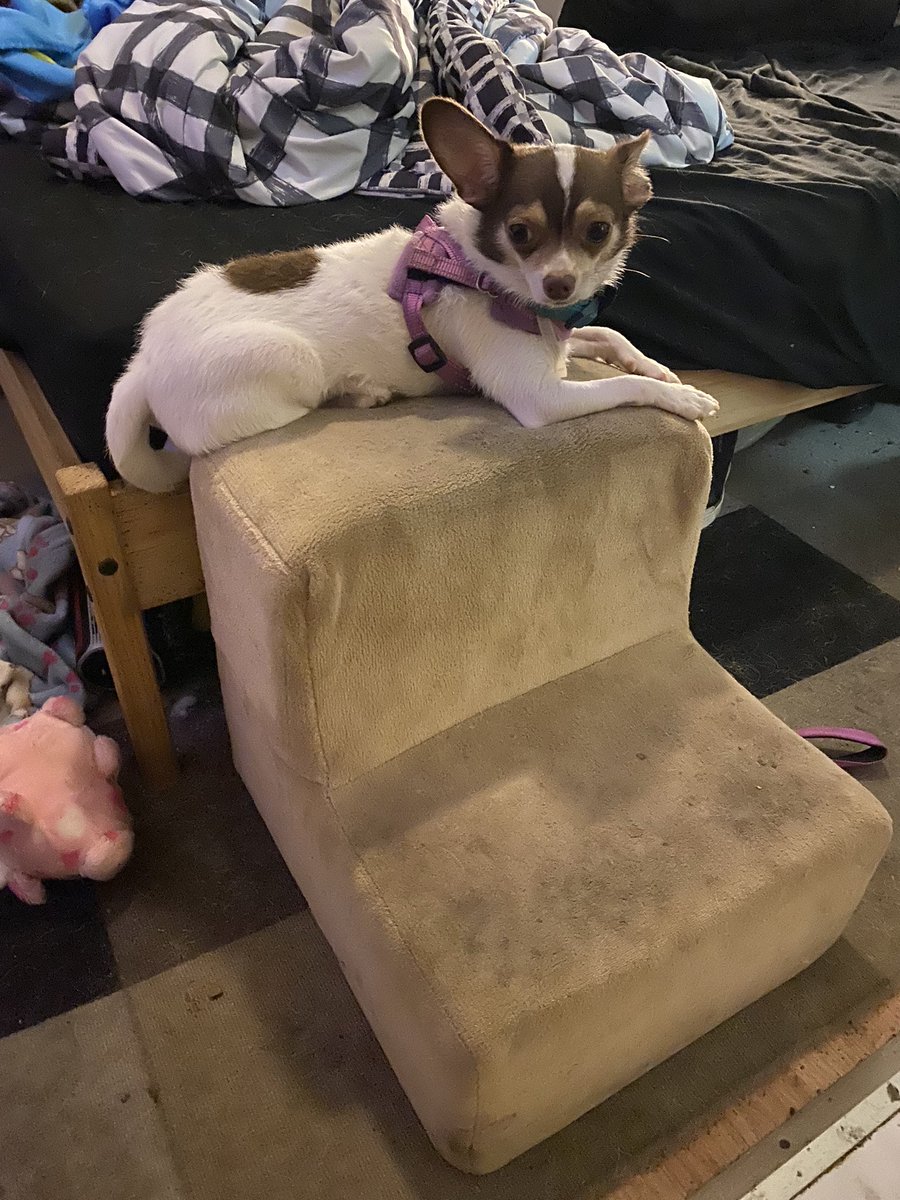 I’m just chilling .  It’s raining out so gonna hang out right here ok