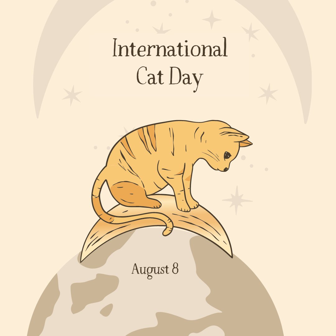 Happy International Cat Day!
As many of you know, I love cats and this is one of my favorite days to celebrate. 
#intrnationalcatday #catlovers