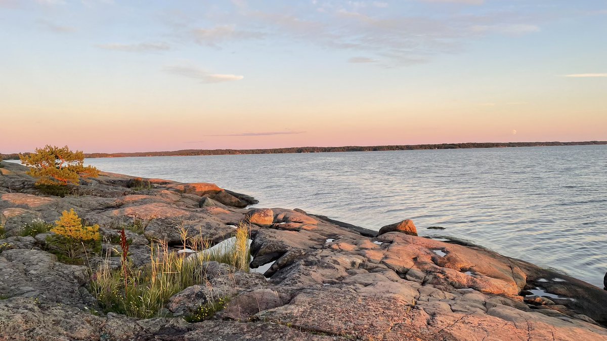 TiinaD_'s tweet photo. The sunset colours everything golden red. The area is amazing, you can see the traces of ice age on these rocks. The moon was rising at the same time with the sunset, and we could see earth’s shadow on the opposite direction. #sunset #moon #earthsshadow #tracesoficeage https://t.co/tI0RqswgDX