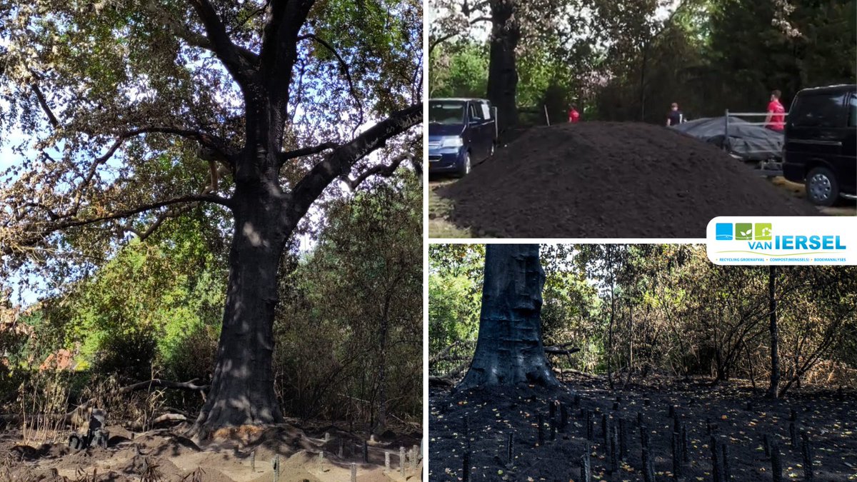 Onze Vigro producten worden door <a href="/WereldboomInfo/">Stichting Wereldboom</a>  ingezet om de verbrande monumentale plataan (262 jaar!) te redden.
"Door hoogwaardige compost te leggen, hopen we de boom alle voedingsstoffen te geven die nodig zijn."

#vigro #compost #mulch #eindhoven