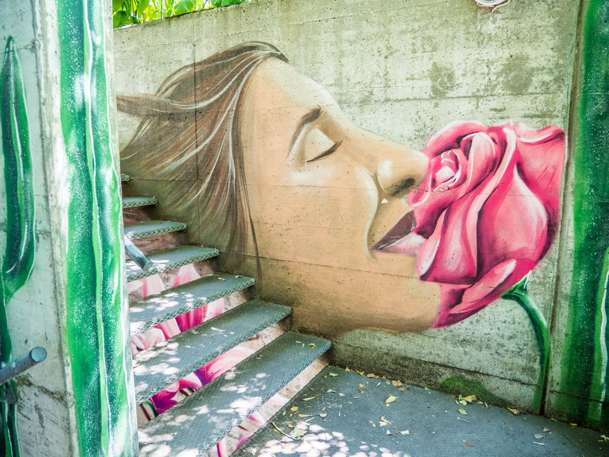 #SaturdayArtFever avec ce joli mural dans le Jardin botanique de #Berne 🇨🇭. Ca pourrait presque être aussi un lundi fleuri 😛. Ca sera samedi fleuri du coup !🙃😉
#Suisse <a href="/madeinbern/">madeinbern</a>
