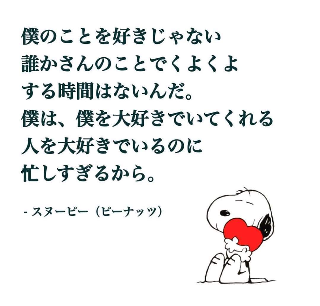 すみかん🐇 tweet media