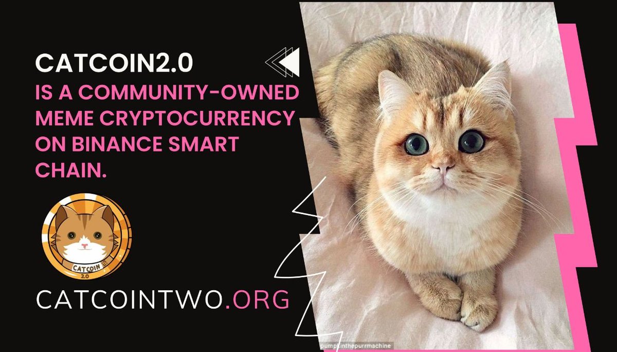 Hanna_MIMA's tweet photo. #CatCointwo is a digital currency based on Binance Smart Chain, by buying it you can get the best profit from the market.
😺
🌐 Website:https://t.co/ZmVfsz2qaD
😺
#BNB #BTC #Cryptonews #memes #altcoin #BTCUSD #blockchain https://t.co/2ykMGc2pIf