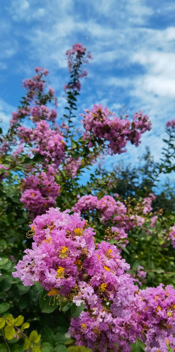 📍Beijing
After rain…