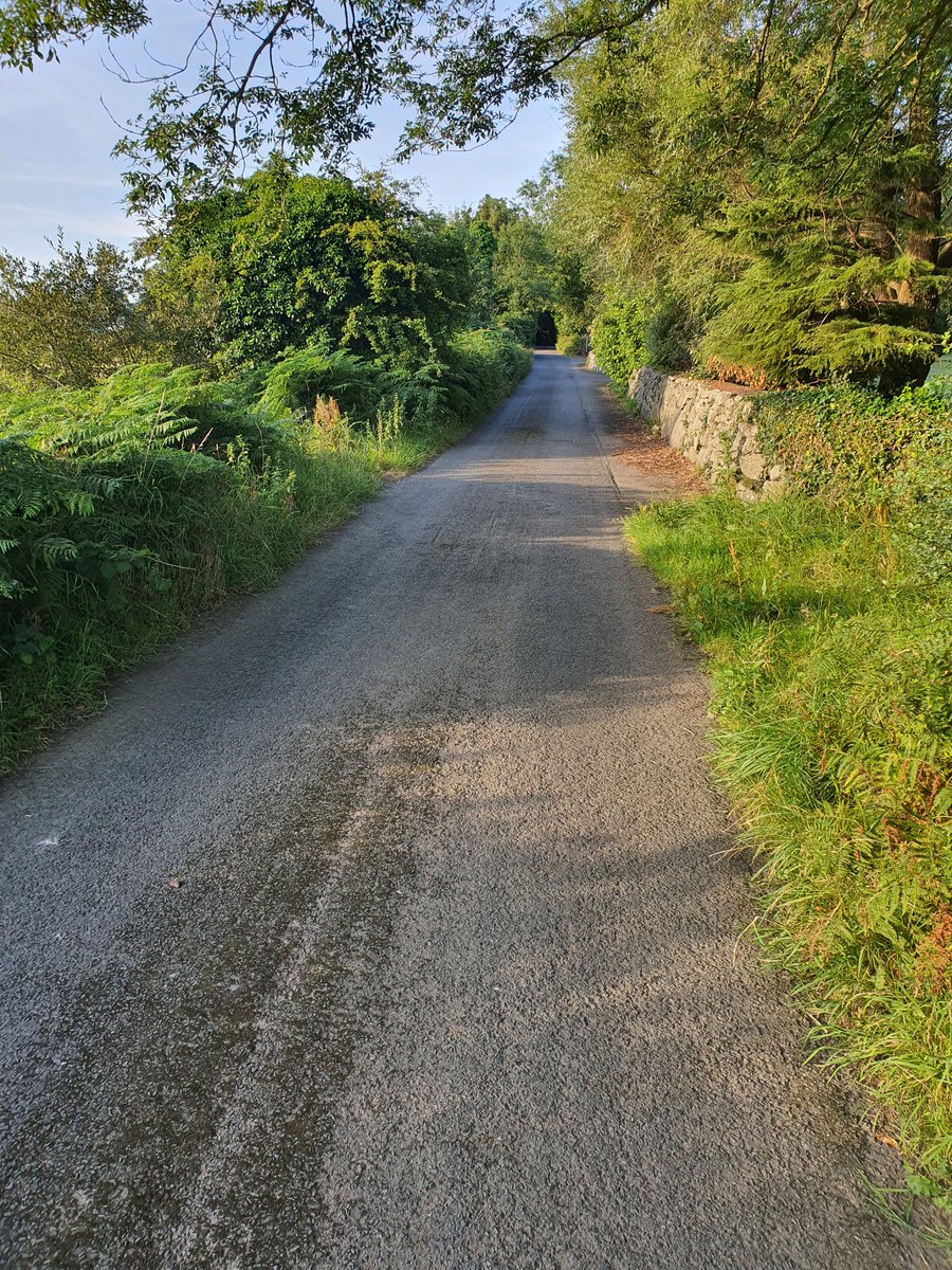 AKinderSociety's tweet image. Not long back after a 2.5 mile early walk in gorgeous countryside. Sheep were bleeting, birds were singing,  and the scenery and greenery were both gorgeous. #GoodToBeAlive
#WalkingSavesLives