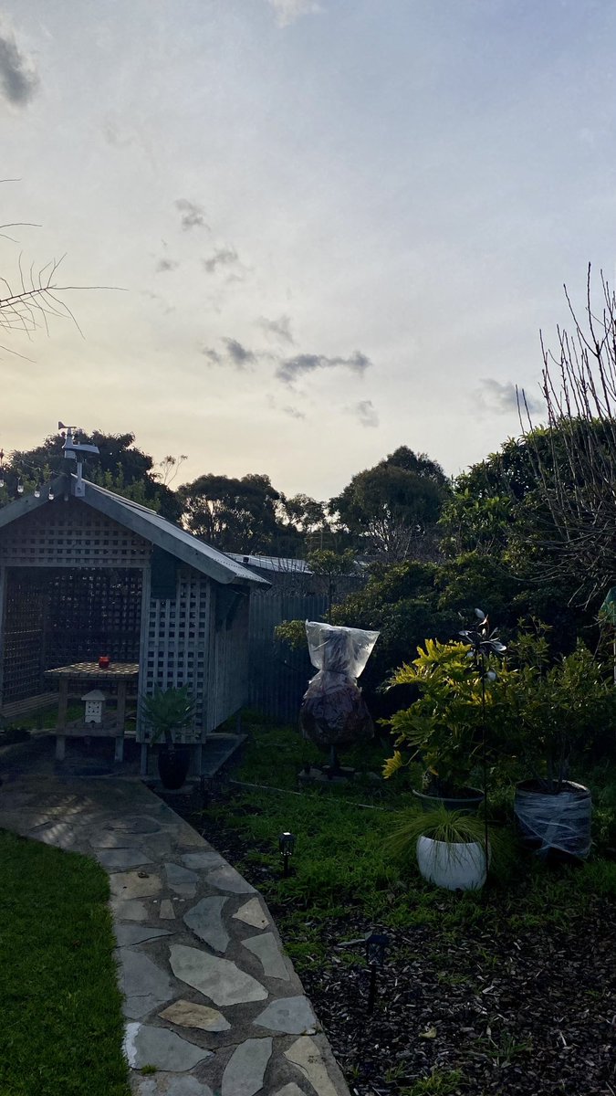 mitzyelliott's tweet photo. #thereisnocatinthisimage
New neighbour, perhaps 🤔
I locked on it with the binoculars…
Yeti proportions 😳😆
#catsoftwitter cats 🐈⬛🐈 https://t.co/147KjhB4by