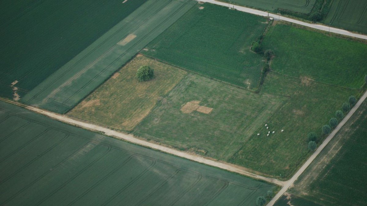 Radio2 ontrafelt de hele zomer lang mysteries. Met de hulp van luisteraars en experten proberen ze het antwoord te vinden op geheimzinnige verhalen 🧐

𝑊𝑖𝑒 𝑙𝑎𝑔 𝑖𝑛 ℎ𝑒𝑡 𝑚𝑎𝑠𝑠𝑎𝑔𝑟𝑎𝑓 𝑣𝑎𝑛 𝐻𝑎𝑘𝑒𝑛𝑑𝑜𝑣𝑒𝑟?
Ontdek het op vrtnws.be/p.XEAeqlKlG