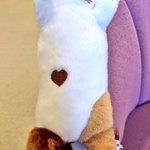 ツイートに含まれる画像