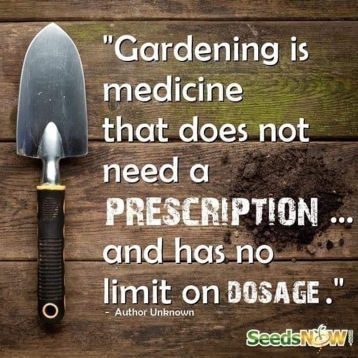 PFFA_UK's tweet photo. Grow your own. Know what you’re putting into your body. Feed your health. 🌿🪴🎋 https://t.co/BD1xyxPEDx