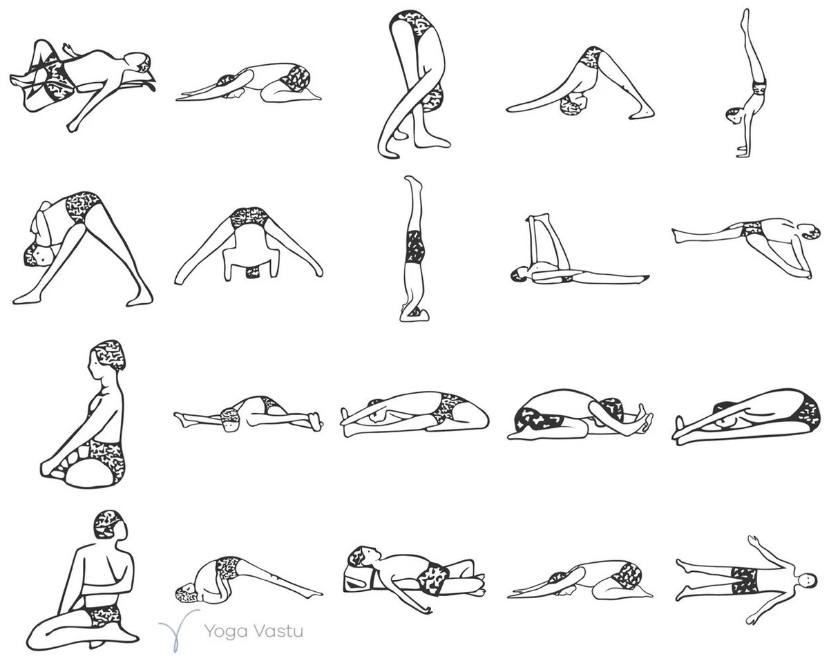 iyogavastu's tweet photo. 🌱Sequence: Sitting and forward bends with hip focus
⏱️Time: 50 mins
🌸Level: General
Print it here: https://t.co/Hpy0Zc3oXt
#iyengaryoga #yogaathome #homepractice #yogaondemand #yogastreaming #bksiyengar #pixielillas #yogahomepractice #hipsyoga #forwardbends #yogasequence https://t.co/mTXwcIcHug