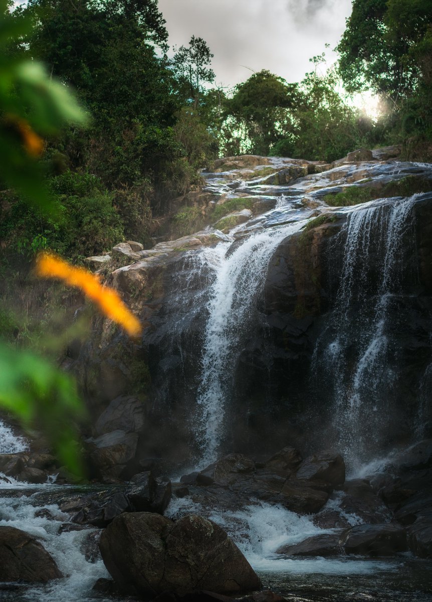 ParceroDlf | Photographer📸 tweet media