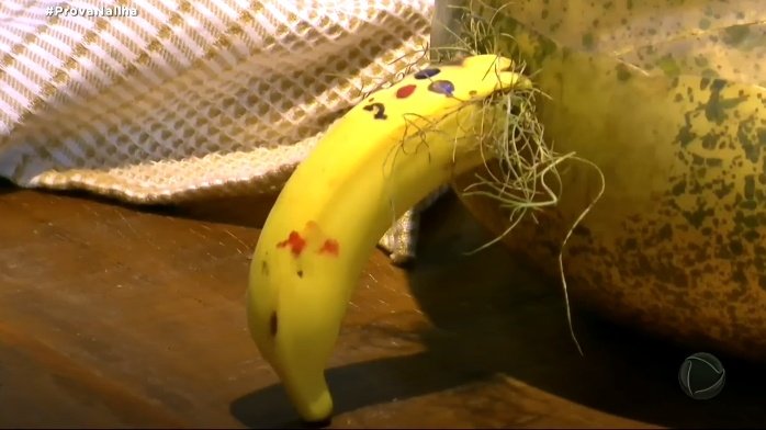 gatinho 𓃠 tweet media