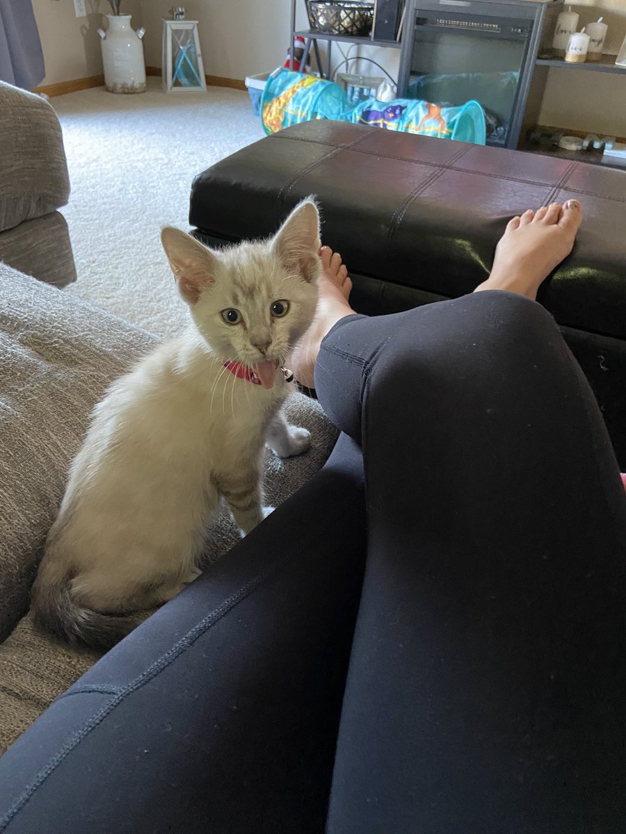 ComOptShanna's tweet photo. @KFYRTV Our Mila Bug❤️ https://t.co/AnP3Uq0RK2