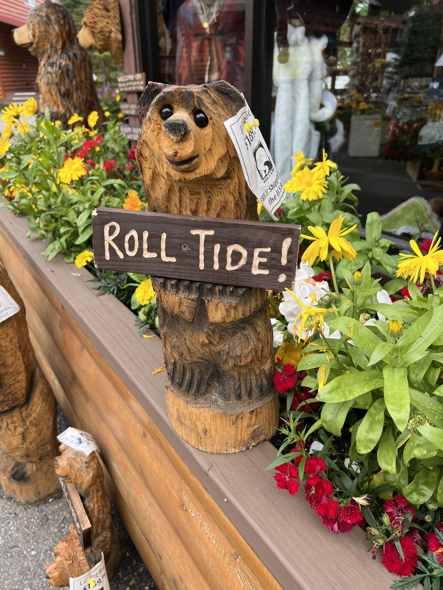 SusanCWest's tweet photo. @Greg_Byrne #RollTideFriday Greetings from Denali Alaska!! We are everywhere!! https://t.co/NJxzqrQ1wj