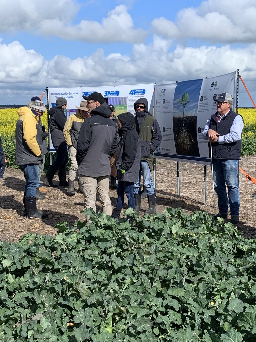CaptainCanola's tweet photo. Western Ag Team Agronomists all the way from Vic visiting today our 2022 Gibson WA Industry Leading #Hyola Innovation Systems Trials plus Winter vs Spring Grazing &amp; N Management trials. Great Research &amp; Extension @AgingAgro @Seasagro @Robghia3518 @PacificSeeds @ag_western @hurgl1 https://t.co/RHUgHGJpEq