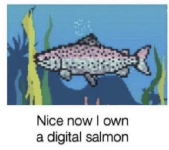 @SolanaLegend's photo on Salmon