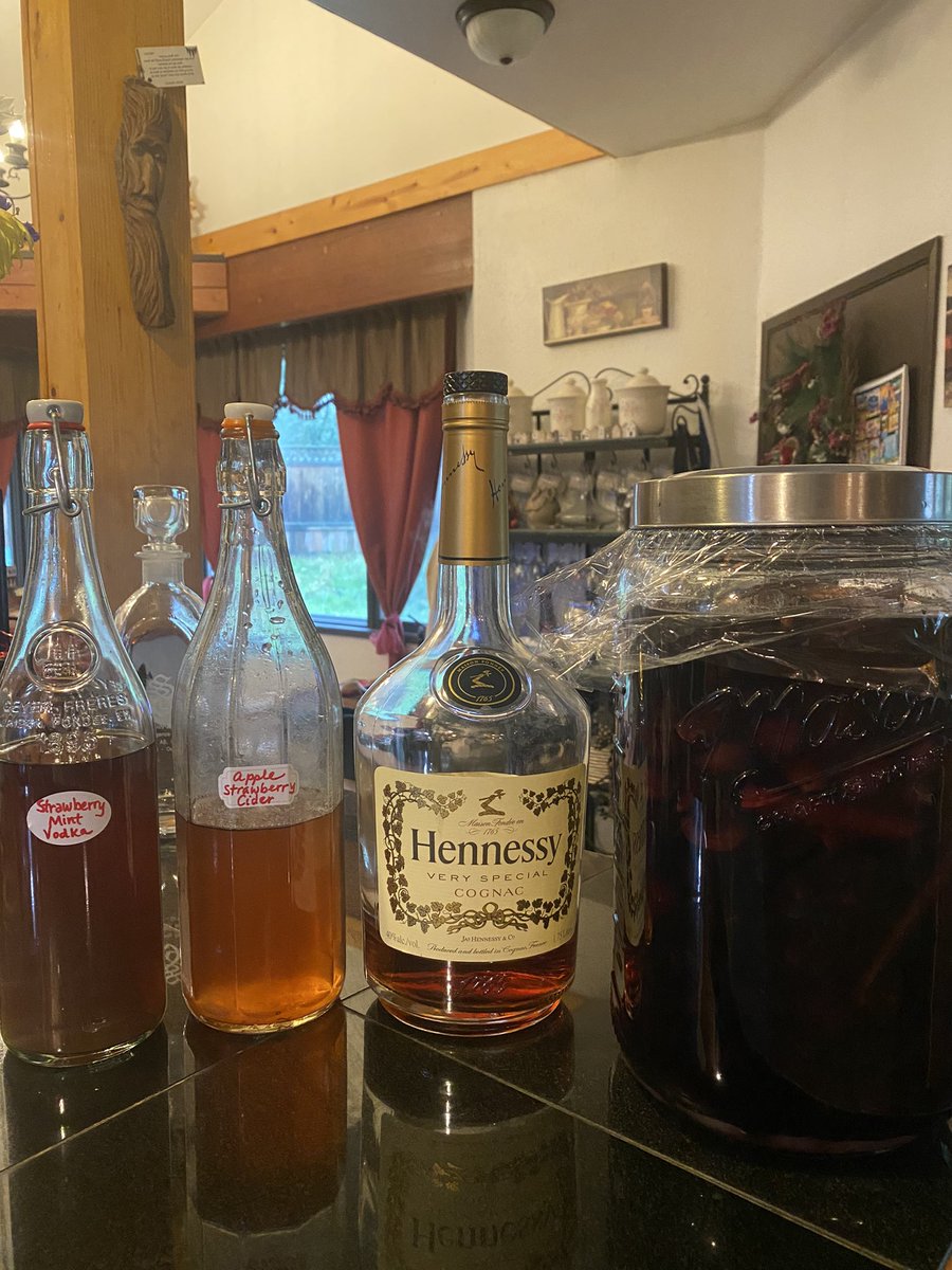 ChaoticOctopus's tweet photo. Small gallon batch of #CherryBounce underway for the holidays, #GeorgeWashington style! Also mini-ferments of strawberry-mint liqueur (vodka base) and strawberry-apple hard cider. @Hennessy @Writer_DG @OutlanderKitchn @FoodiePeakers @samheughan @RealAlexNorouzi @Outlander_STARZ https://t.co/zRbwjpzRbT