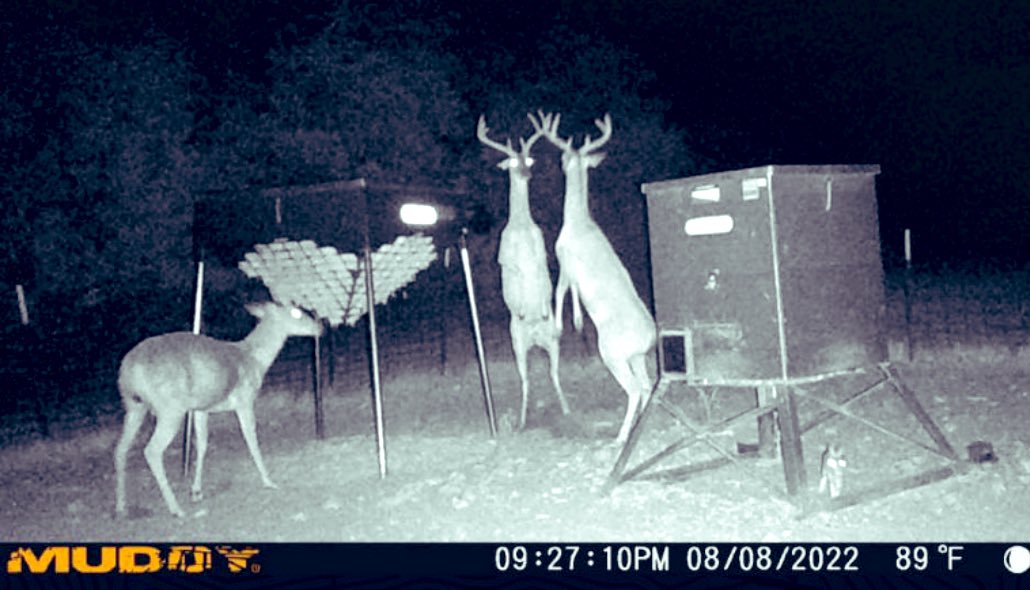 DrLongFrog's tweet photo. This is what happens when you show up to the club and your old girlfriend is with another dude....#AdamsRanch https://t.co/oJp1bXFEUU