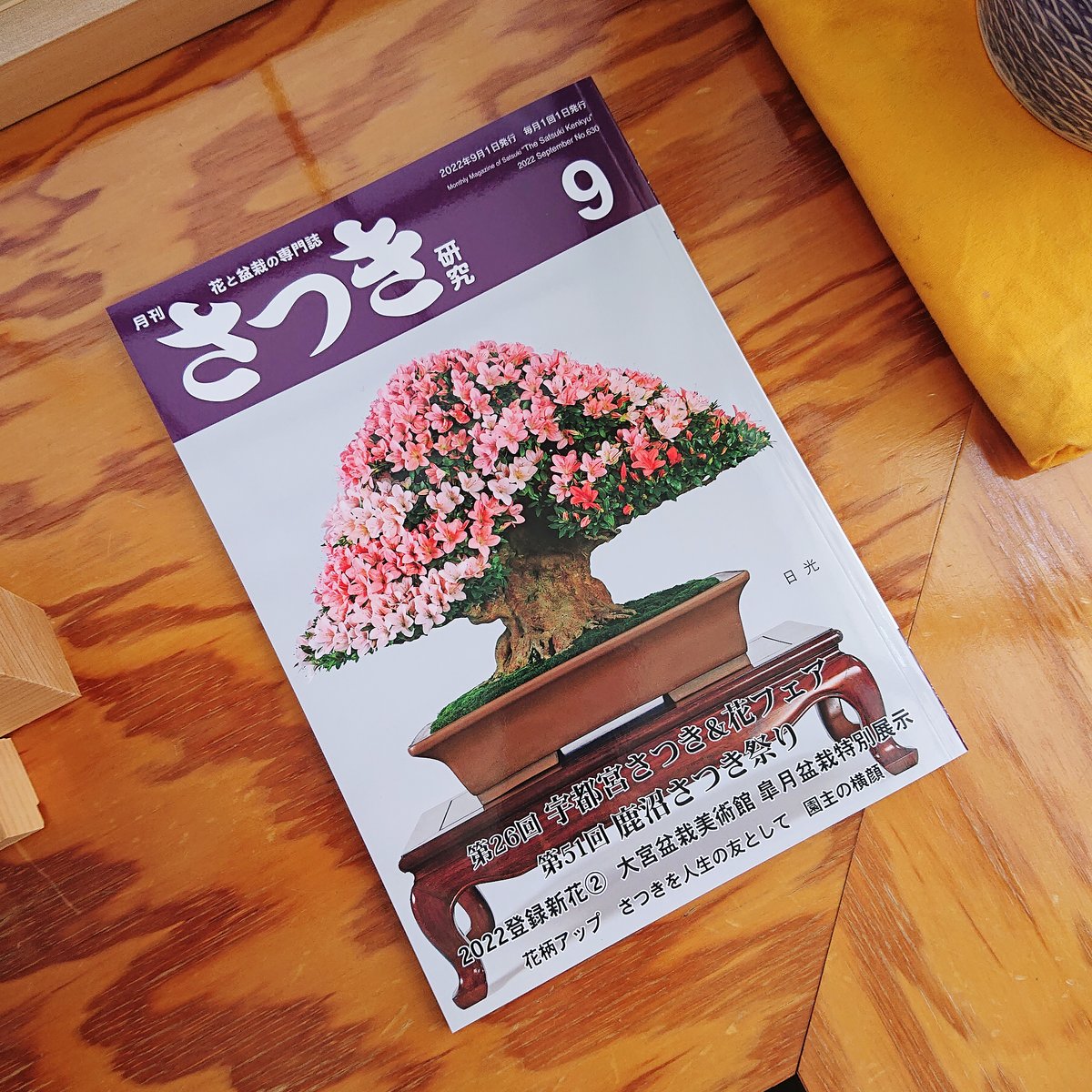 tochinoha_shobo's tweet photo. 日本固有の植物 サツキについての総てがわかる専門誌「さつき研究」の9月号が発売中です！

詳しくはウェブサイトをご覧ください！
https://t.co/5rkFfPIQ6Y…………………

#盆栽 #bonsai #さつき #皐月 #satsuki #ツツジ #Rhododendron #Azarea #園芸 #Horticulture #植物 #plants https://t.co/IkQFAWiwQj