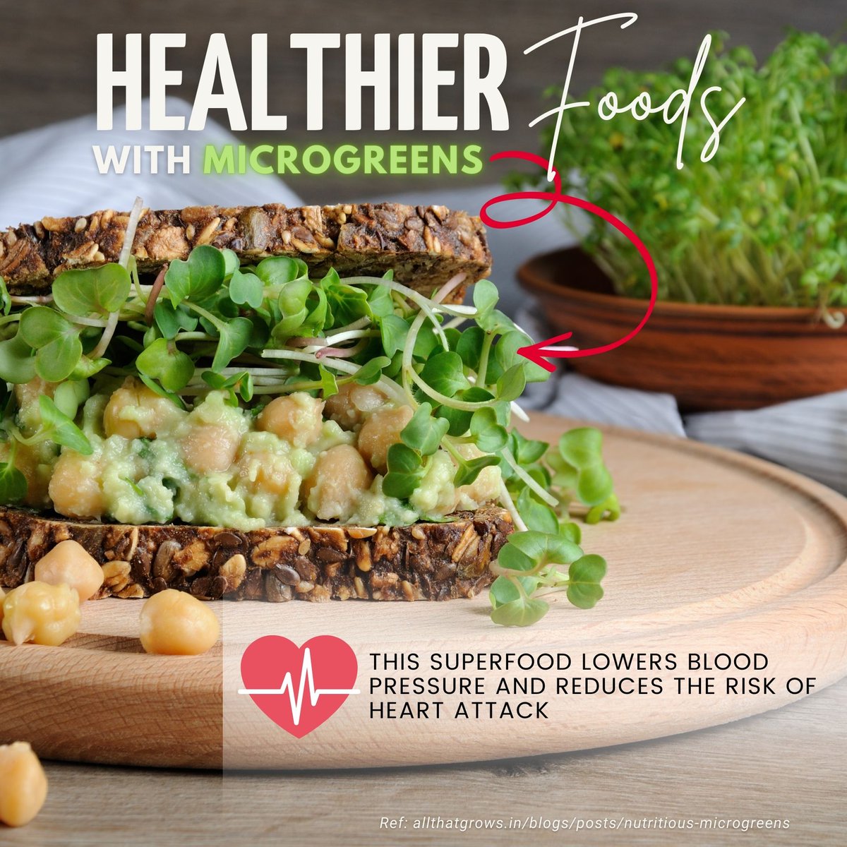 MicroGreensPH's tweet photo. Adding microgreens to your diet is a great way to make your foods healthier. 
Visit our website:
https://t.co/SqgEtArpeY 
 
#MicroGreensPhilippines
#MicroGreens
#MicroGreensSupplier
#PlantBasedFoodTrend
#CDIDigitalMarketing https://t.co/wORatRarQE