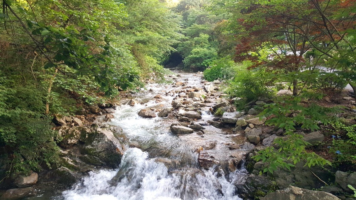 김경현 (@kimgyunghyun) on Twitter photo 