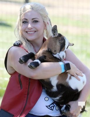 chibi_bara's tweet photo. What a cool way to spend a Saturday! My #thor cosplay and baby goats! Thanks to Pete (1&2)and Victoria for pics! #goatchella #spacegoats #toothgnasher #toothgrinder #marvelcosplay #genderbendthor @chrishemsworth #tatakiwaititi #ThorLoveAndThunder https://t.co/R1QYQKMbGx