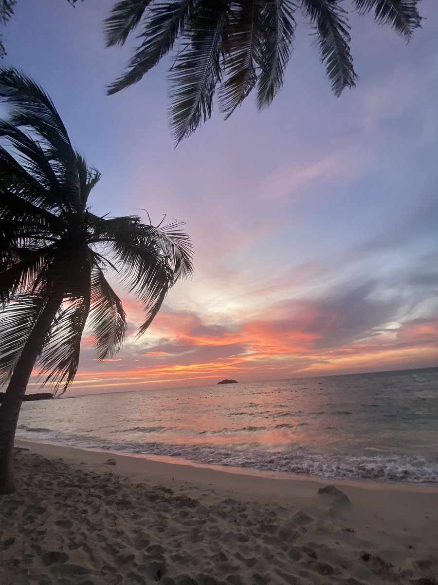 Ole Reidar Bergum tweet media