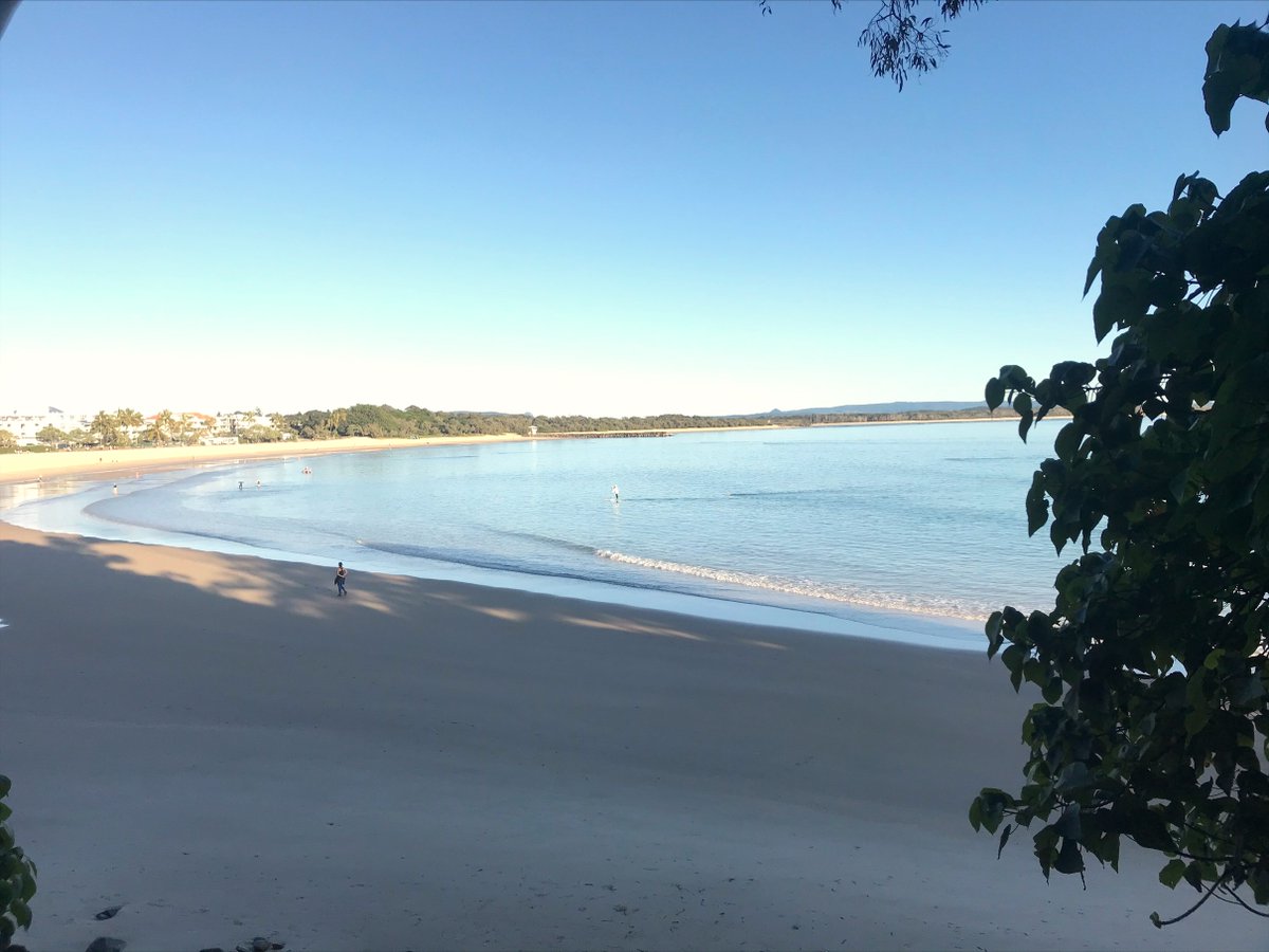 Dr Mary-Ellen Brierley tweet media