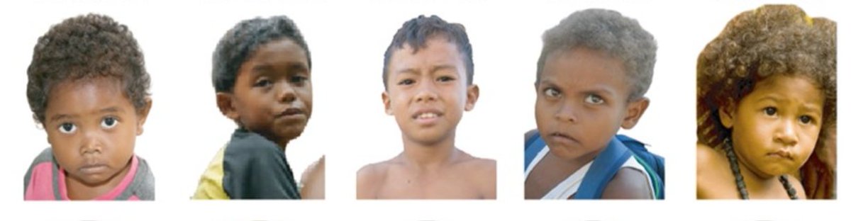 whyvert's tweet photo. New genetic study of the indigenous peoples of SE Asia. 

The main finding is not too surprising: Melanesians, Aboriginal Australians, and Negritos (of the Andamans and SE Asia) are distinct but also share a common ancestry. https://t.co/mPMYlyud2V