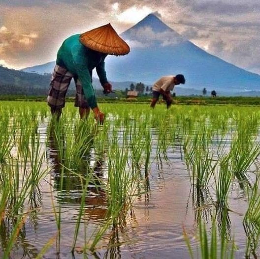 AMachchi's tweet image. #NewProfilePic