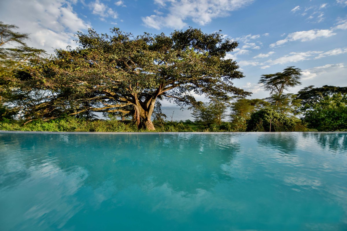 ota_tracey's tweet photo. The most beautiful resort at Lake Naivasha: Loldia House.

Make your next getaway a luxurious one

To Book, email tracey@ota-responsibletravel.com

#tembeakenya #magicalkenya #weekendgetaway https://t.co/lFUZwqzCfB