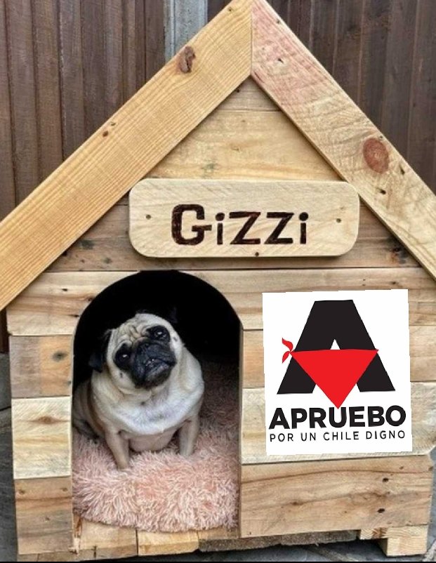 BrennusVaccare1's tweet photo. Partiste a oler rajas, weón.
#aprobaste como perro culiao. https://t.co/aBAqSetB4c