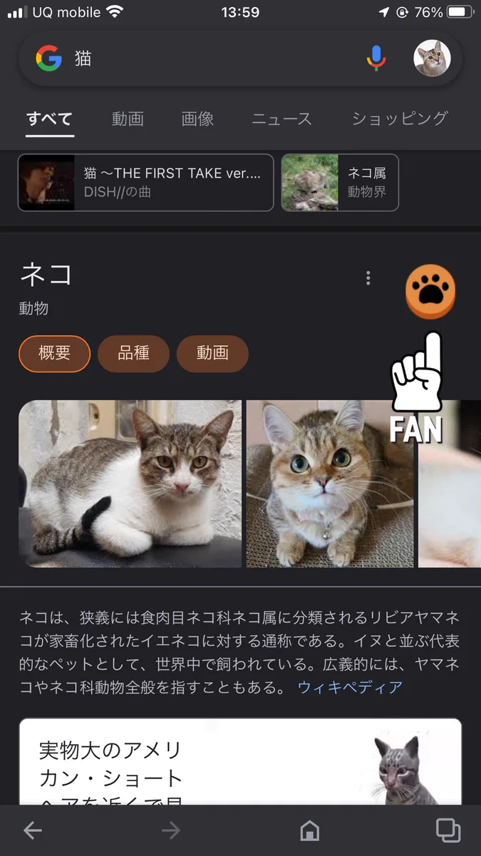 画面が肉球だらけ？Googleで猫と検索した結果！