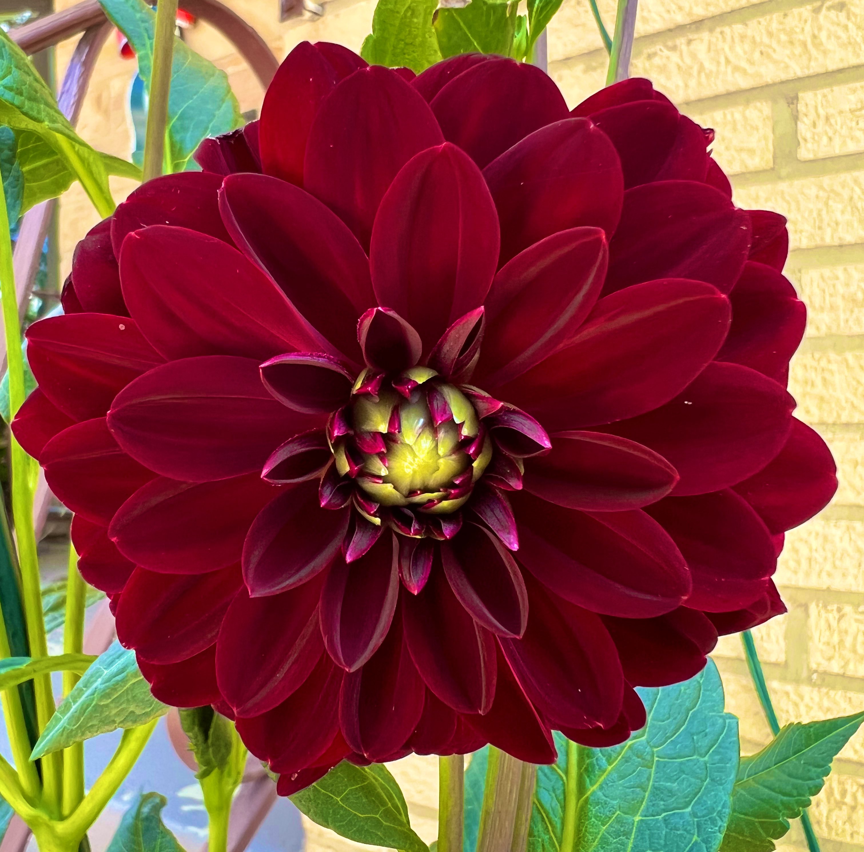 Sir Galahad The Chaste (LadyGERDiva) / Twitter