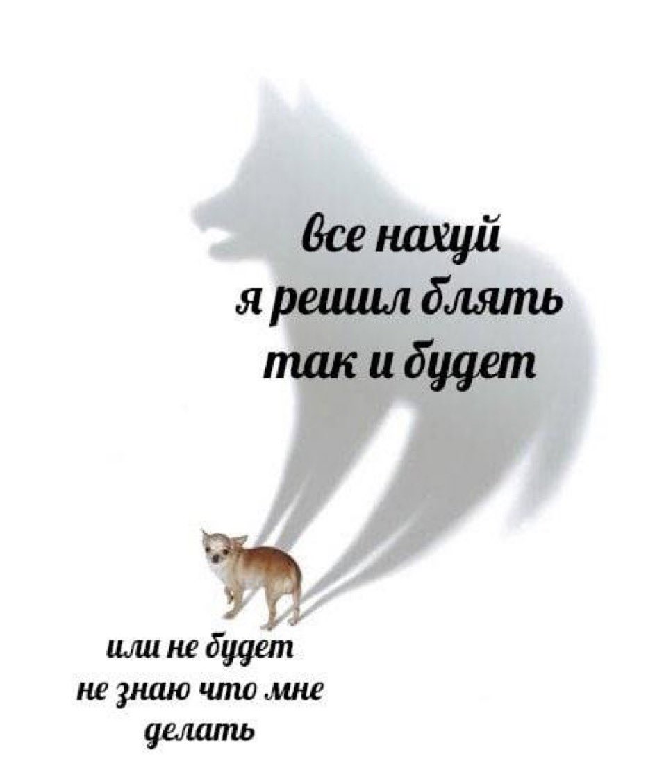 treschenko24's tweet photo. Ну я https://t.co/PQ3q23wM9S