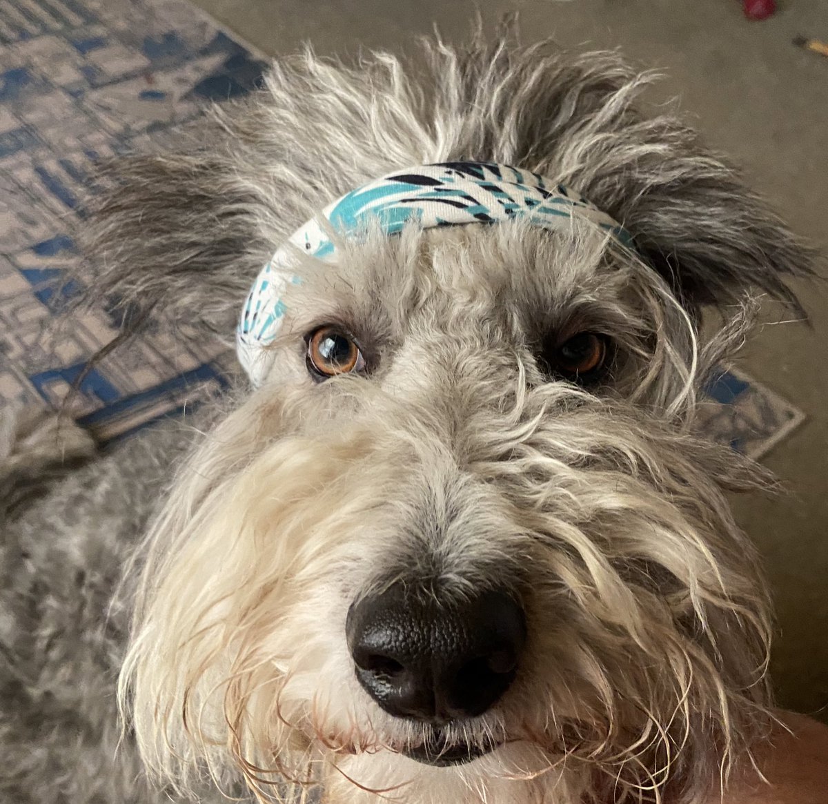 This is Denny. He’s in the Goodie Bag and the upcoming Main Ep on Wednesday. Just thought you should get acquainted