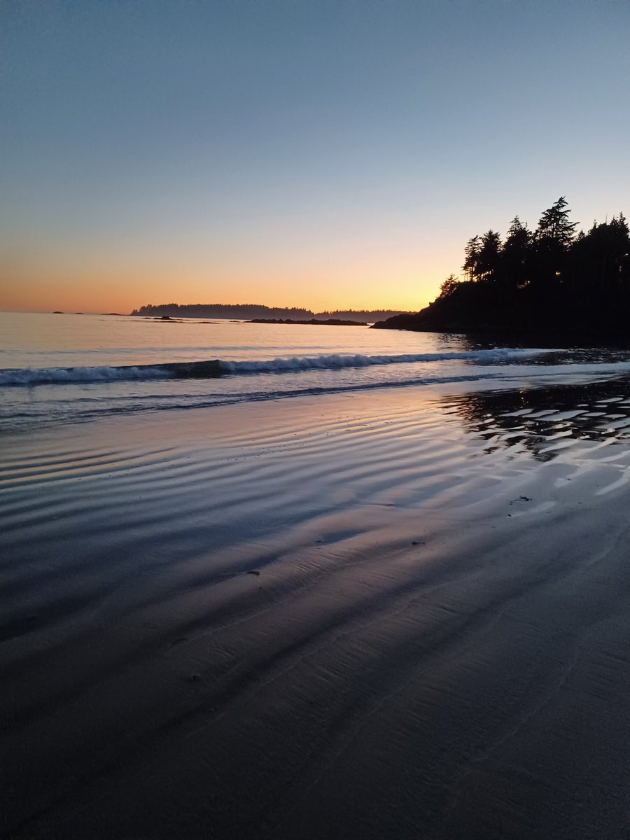 Bill Dreger tweet media