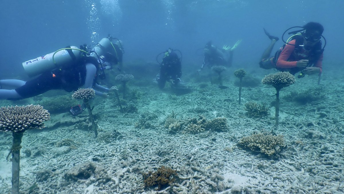 KapasConserve's tweet photo. Various inputs and skills that have been shared and we learned more about the marine life and its ecosystem. Among them is the coral reef restoration technique that we can apply for the conservation and restoration of coral reefs on Pulau Kapas. @AquaSportDv https://t.co/h0mOiIJ8GT