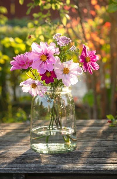 Have a nice day!
🌞🍀🌺🌿