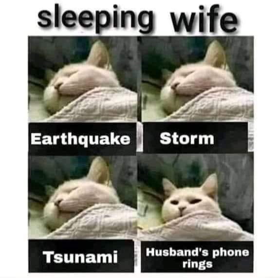Chaltonmonalysa's tweet photo. 😂😂 https://t.co/dolK1tfLGG