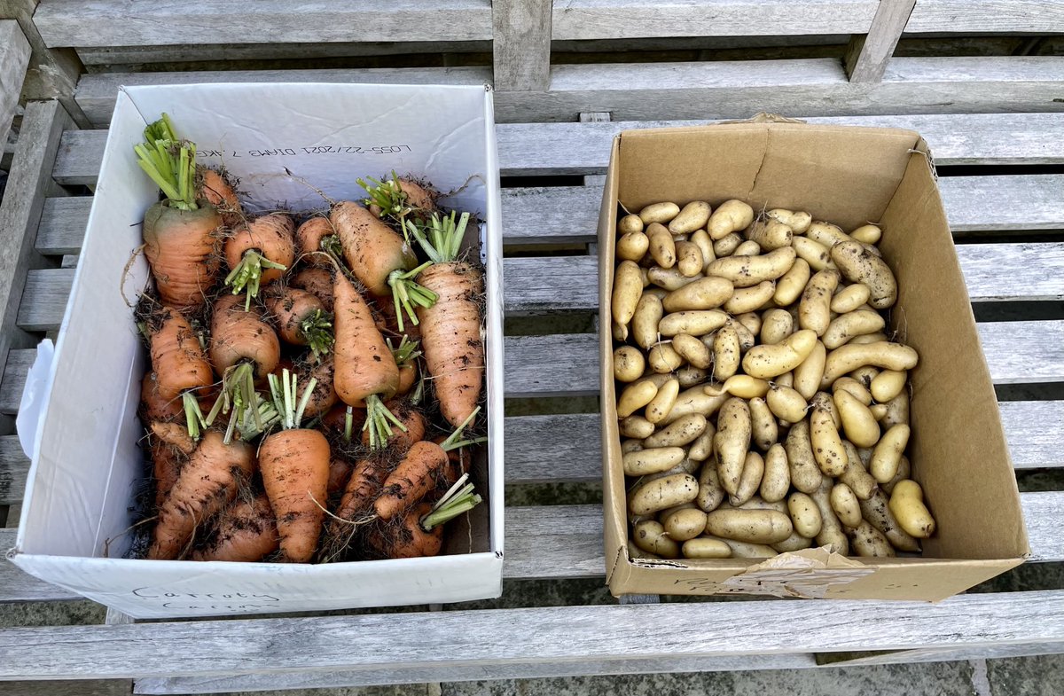 Peter Sargent (@healeyhouser) on Twitter photo Carroty carrots & ratte potatoes for early morning delivery to <a href="/thegvg/">Green Valley Grocer</a> , to be followed later this week with greengages & new addition to range greengage jam but yet to be quality tested by maker Jo aka <a href="/yogawelluk/">Jo Sargent</a> , all under the HH / Slawit FTA 😊 Carroty carrots & ratte potatoes for early morning delivery to <a href="/thegvg/">Green Valley Grocer</a> , to be followed later this week with greengages & new addition to range greengage jam but yet to be quality tested by maker Jo aka <a href="/yogawelluk/">Jo Sargent</a> , all under the HH / Slawit FTA 😊