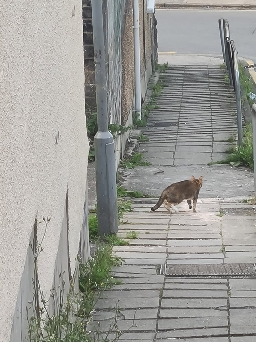 stacha5678's tweet photo. I've meet Changkyun on my way to work
#MONSTAXSHINESFOREVER #MONSTA_X #IM #CHANGKYUN
@onlyoukihyun @MimiWeneebebe https://t.co/zjSNcouA92