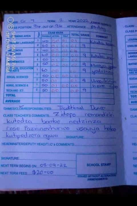 Harisi dofo iri , e child is good in traditional dance , a gifted student