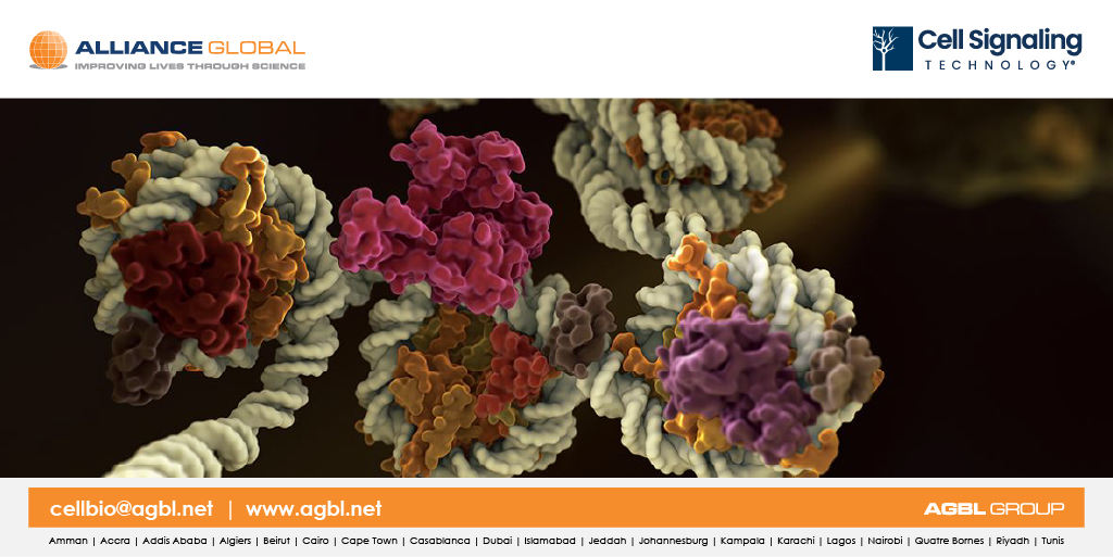 CUT&amp;RUN offers exciting new research potential but can be difficult starting any new assay. If you’ve been struggling with setup or optimization, check out this online resource for most frequently asked questions - hubs.ly/Q01hln390

#agbl #chromatinprofiling #epigenetics